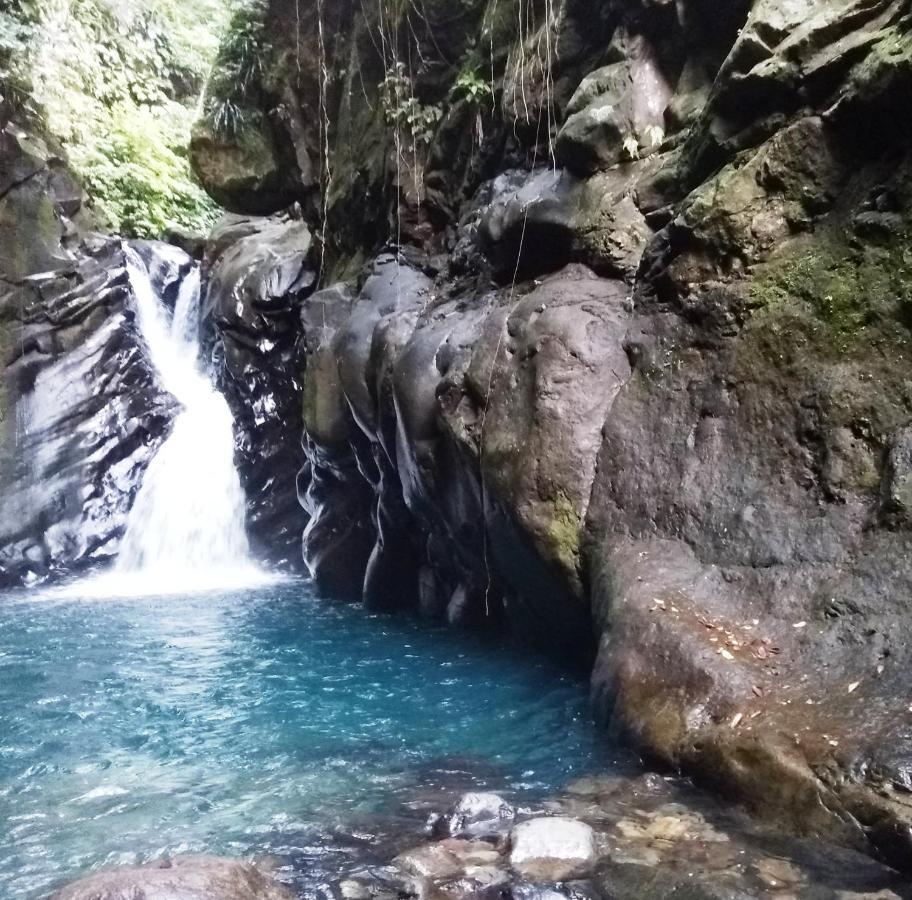 Caraibes Corail Piscine Privee A 900m De La De Grande Anse Vakantiehuis *