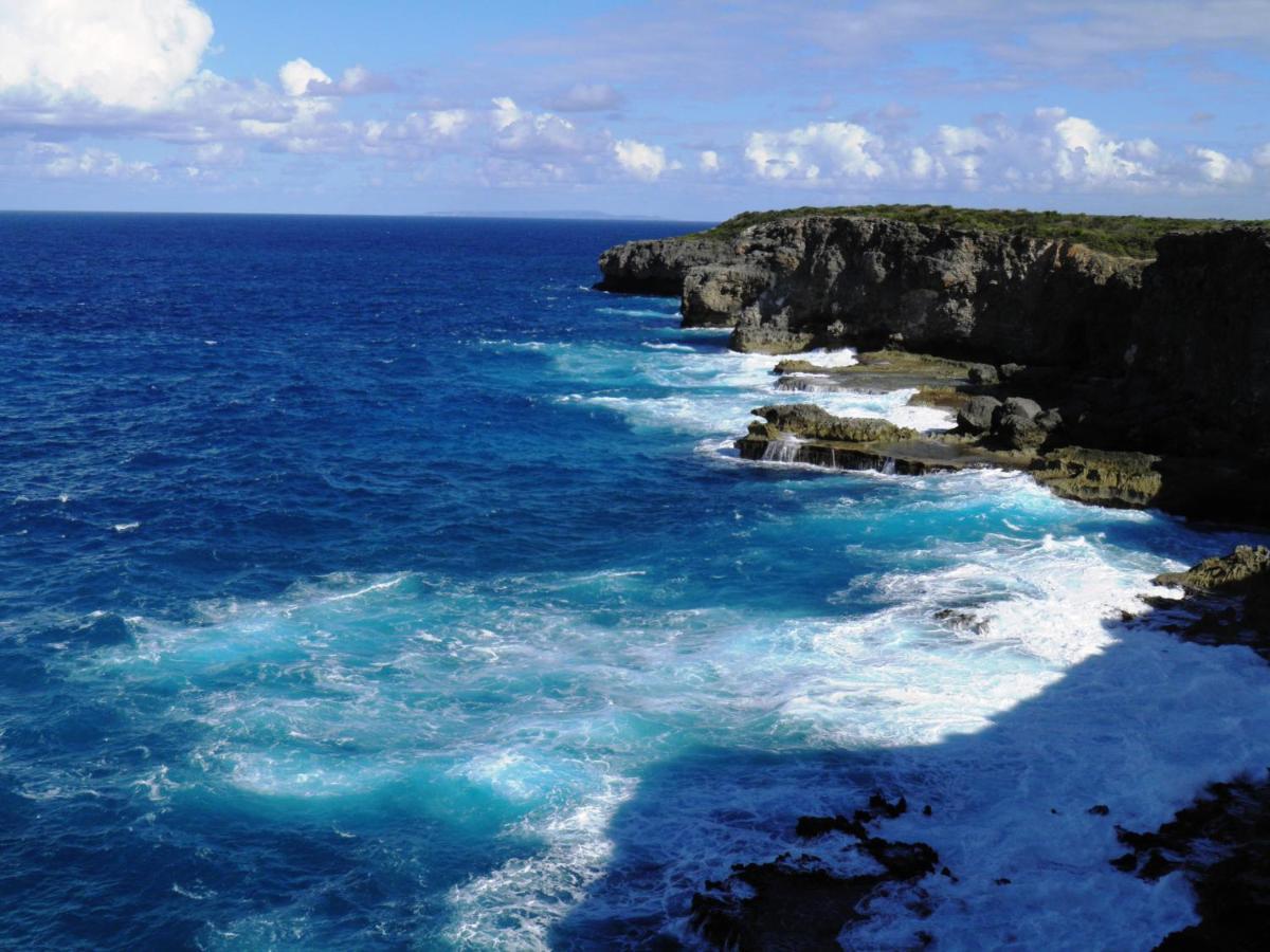 Vakantiehuis Caraibes Corail Piscine Privee A 900m De La De Grande Anse