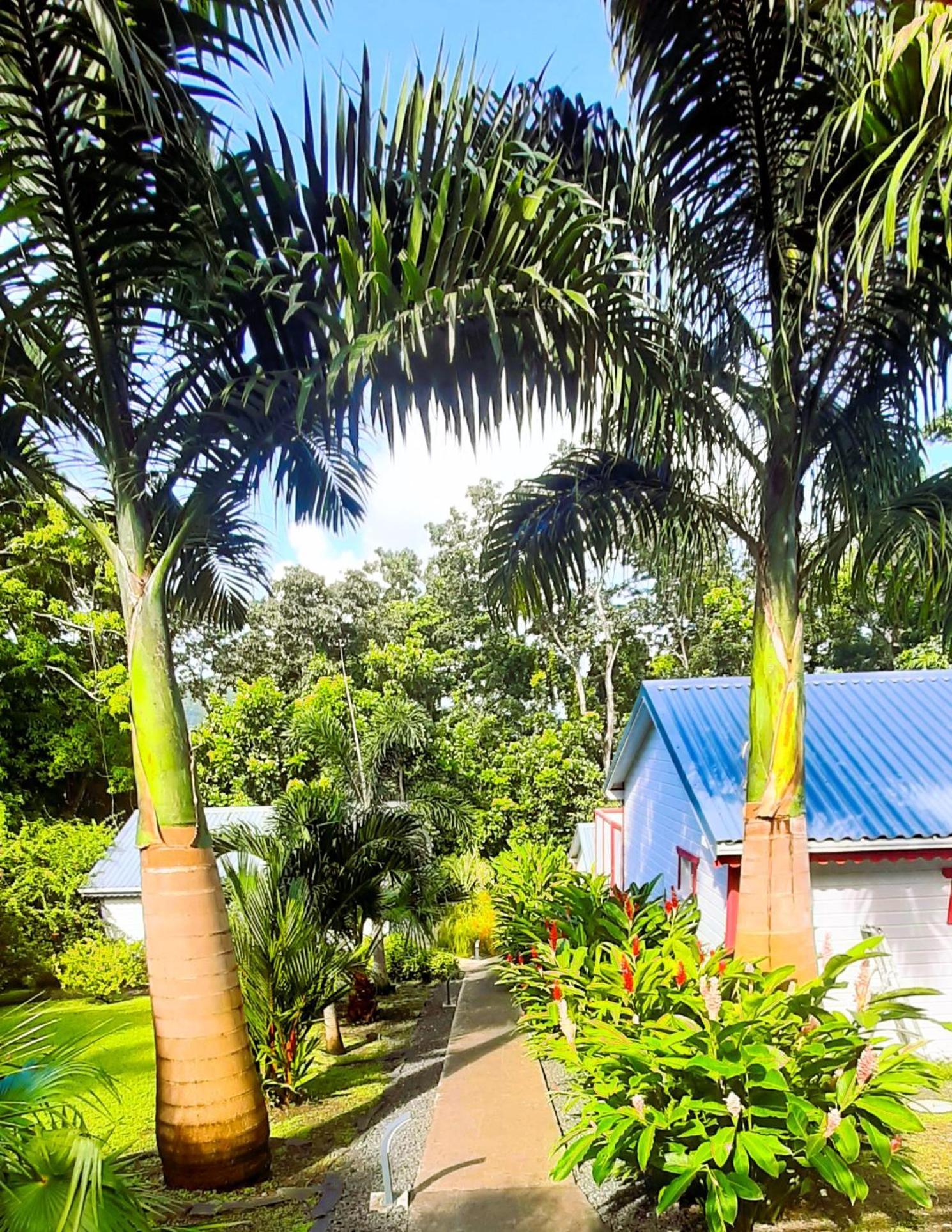 Caraibes Corail Piscine Privee A 900m De La De Grande Anse Vakantiehuis